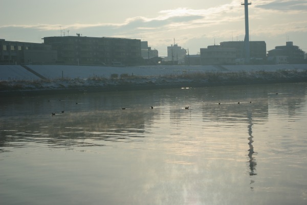 20100202_04_s