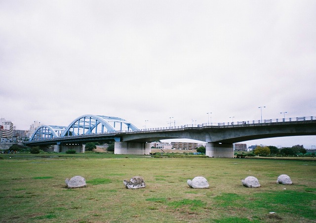 20101122_09_s